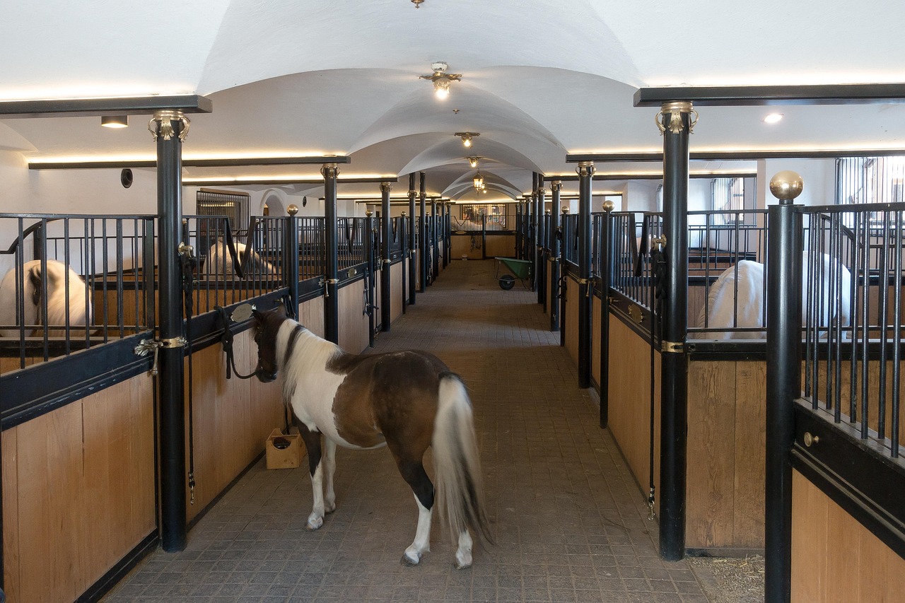 equestrian center arena exterior