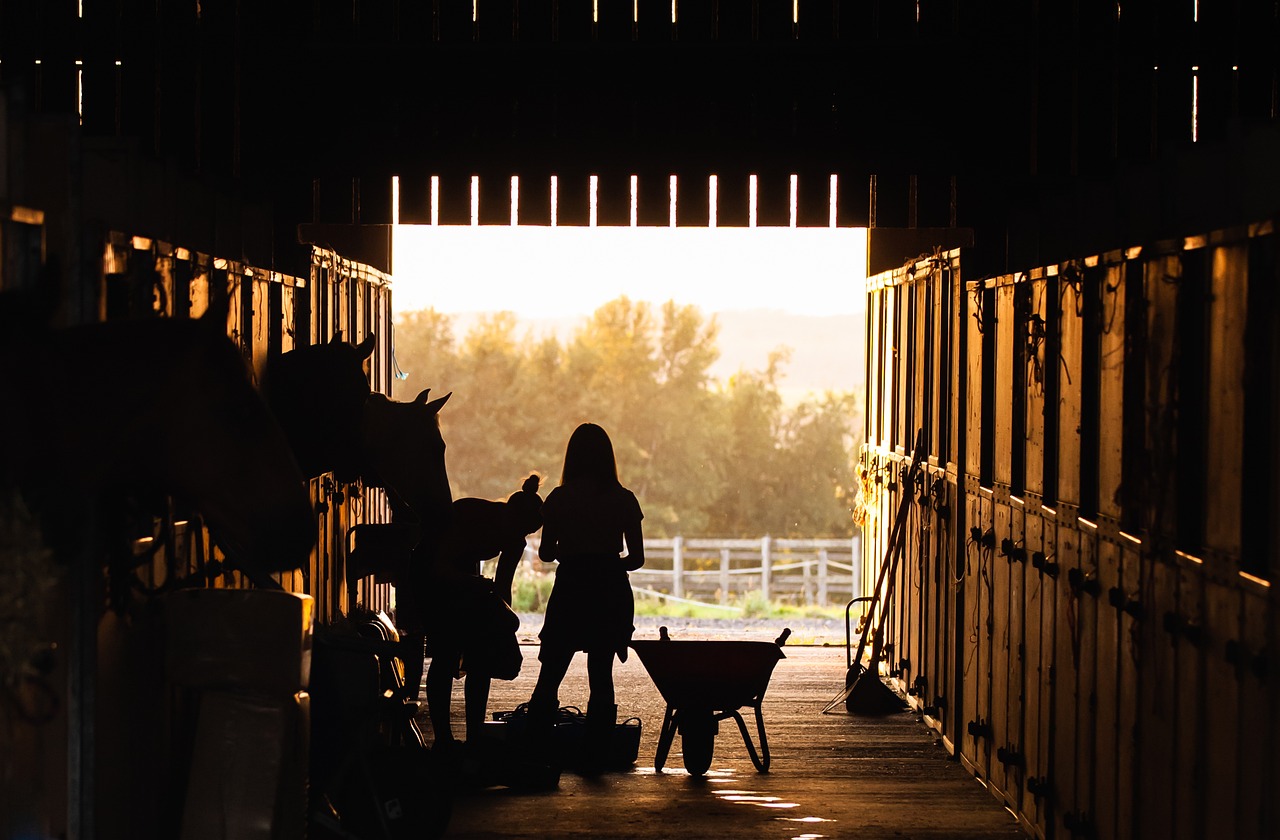 modern horse stable architecture